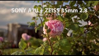 SONY A7II  ZEISS 35mm 28  Donaulände Linz 1080P Handheld [upl. by Cirdec]