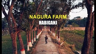 Nagura Farm Rickshaw Tour  HABIGANJ Drone  Bangladesh vlog [upl. by Nylodnarb795]