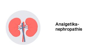 Analgetikanephropathie Phenatecinniere  Erkrankungen der Niere [upl. by Amador]