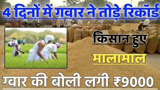 ग्वार का ताजा भाव 5 अप्रैल 2024 आज ग्वार में कितनी आई तेजी देखें भाव gwar ka bhav guar seed price [upl. by Hugibert]