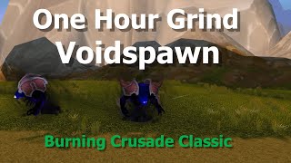 One Hour Grind VoidspawnMote of Shadow Farming 100  200 Gold per Hour WoW TBC Classic [upl. by Demona540]