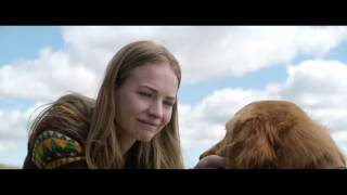 A Dog’s Purpose  Trailer  Own it now on Bluray DVD amp Digital [upl. by Nosnah45]