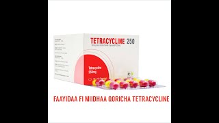 FAAYIDAA FI MIIDHAA QORICHA TETRACYCLINE  THE USE AND SIDE EFFECTS OF TETRACYCLINE DRUG [upl. by Poock355]