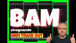 Imaginando BAM Beat Maker amp Music Maker Tutorial 2 How to MIDI sequence external gear in AUM [upl. by Shandee640]