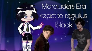 Marauders Era react to Regulus Black [upl. by Ahsema]