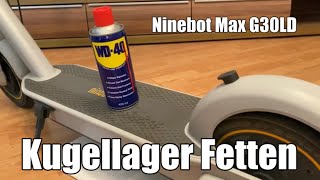 Ninebot Max G30LD Kugellager und Bewegliche Teile schmieren mit WD40 Silikon Spray [upl. by Annael524]