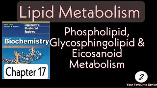 Lippincott Biochemistry  Chapter 18  Lipid Metabolism [upl. by Ayiak]