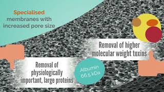 Membrane Series The Dialysis MembraneII  Strategies to Enhance Detoxification [upl. by Eedoj]