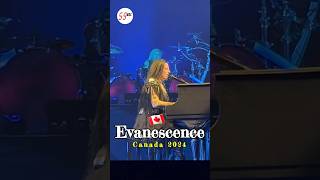 Amy Lee Fingers on Piano Canada 🇨🇦 2024 evanescence amylee pianomusic liveconcert shorts [upl. by Nnave526]