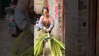 Peeling the bark of jute plants process [upl. by Eentrok]