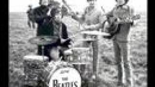 The Beatles Live Houston  1965 14 [upl. by Winters763]