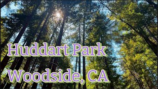 Huddart Park Woodside CA [upl. by Rudolf]