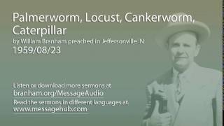 Palmerworm Locust Cankerworm Caterpillar William Branham 590823 [upl. by Elletnahc827]