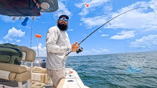 Crazy Feeding Frenzy Offshore Fishing CatchampCook [upl. by Gamin507]