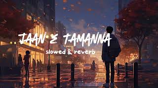 jane tamanna jaan ada full song SLOWED amp REVERB LOFISONGtg5ws [upl. by Ver732]