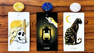 TRUTH REVEALED YOU’RE FINALLY READY TO HEAR IT 🌟💡📖  Pick a Card Tarot Reading [upl. by Neyut682]