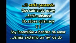 INSENSIBLE KARAOKE JUAN GABRIEL [upl. by Amiaj]