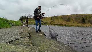 231 Flies That Catch Rod Bending Trout  Fly Fishing UK [upl. by Annavas445]