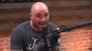 Why You Should Do Intermittent Fasting Joe Rogan Feat GSP  Dr Peter Attia  Dr Rhonda Patrick [upl. by Eloken]