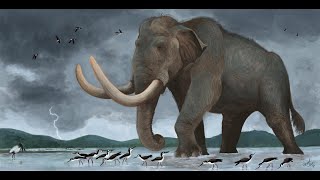 Mammoths Titans of the Ice Age [upl. by Hernardo701]