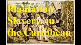 32 When sugar ruled the world Plantation slavery in the 18th c Caribbean [upl. by Aerdnac]