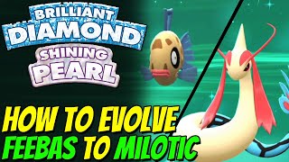 How to evolve FEEBAS to MILOTIC in Pokemon Brilliant Diamond and Shining Pearl [upl. by Esille778]