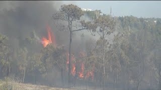 20acre brush fire near Littleton Rd and US41 in North Fort Myers now 95 contained [upl. by Ynnij]