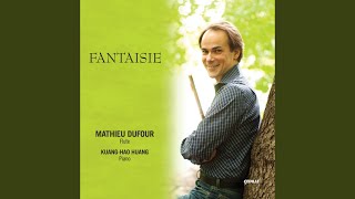 Fantaisie Op 79 version for flute and piano [upl. by Qahsi]