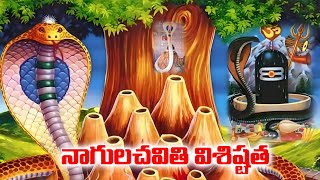 నాగుల చవితి విశిష్టత  Significance of Nagula Chavithi  Devullapalli Bala Sharma  iDream [upl. by Yorke]