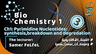 Biochemistry 1 Ch1 part 3  Pyrimidine Nucleotides synthesis breakdown and salvage [upl. by Idnyc425]