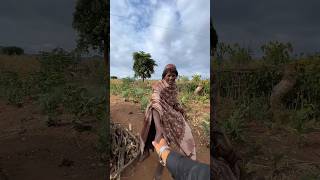 Inside the village of Banna tribe of Ethiopia thepaktrekker [upl. by Eciened]