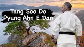 Tang Soo Do Form 5 Pyung Ahn E Dan [upl. by Naedan]