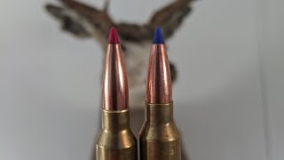 Hornady vs Barnes expansion Test [upl. by Alanson]