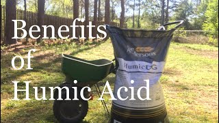 Many Benefits of HUMIC ACID on lawn  How to IMPROVE LAWN SOIL [upl. by Yarled]