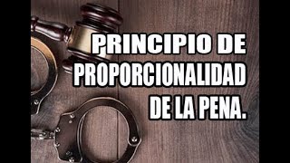 El Principio de Proporcionalidad de la Pena [upl. by Labinnah84]