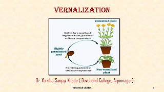 Vernalization  Dr Varsha S Khude  Botanical Studies [upl. by Jacob]