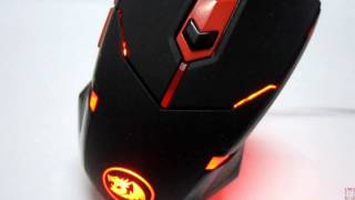 Redragon M601 CENTROPHORUS  USB Gaming mouse review [upl. by Tzong38]