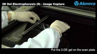 2D Gel Electrophoresis 9 Image Capture  Laser Scanner [upl. by Aneelehs]