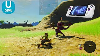 The Legend of Zelda Breath of the Wild ROG Ally Performance Gameplay  CEMU Wii U Emulator PC [upl. by Ydnic305]