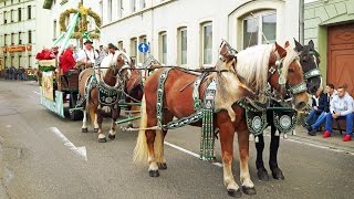 Winzerfestumzug Neustadt an der Weinstraße 2016 [upl. by Gapin]