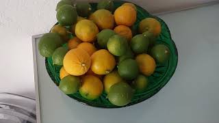 Limun Mandarina Grejp Limeta [upl. by Garcia472]