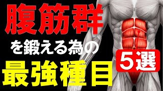 【筋トレ科学】腹筋群を肥大させる為のエビデンスレベルAの種目5選 筋トレ1年目に絶対に知っておきたい解剖学 [upl. by Ttehr383]