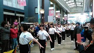 Kyoto Tachibana High School Marching Band at The 18th Kyoto Sakura Paradestarting scene [upl. by Mortie]