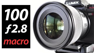 Lumix S 100mm f28 MACRO review INDEPTH [upl. by Enailuj]