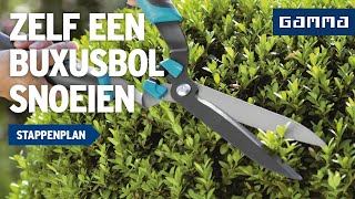 Buxusbol snoeien  Tuinvideos  GAMMA België [upl. by Aruam958]