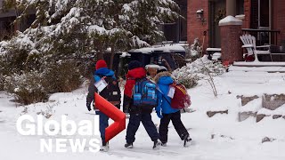 Forecasted snowstorm for Toronto area could delay return to schools [upl. by Asilef]