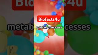 Nutrients  Part 5 Digestion science facts biology metabolism food [upl. by Sommer]