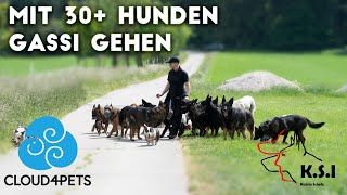 Hundeforscherin Katrin Scholz mit Hundemeute 🐕 Teil 1 [upl. by Etiam]