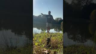 Fall afternoon dinks fishing bassfishing dink dinks bass fallfishing nedrig fish [upl. by Netsirc809]