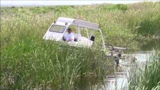 Marsh Master MM2 Cutting Phragmites in Wetland [upl. by Cavill897]